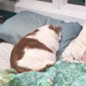 Meet your Posher, Mariana